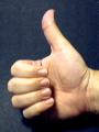 The direction of the right thumb indicates
a rotation pointed to by the other fingers.